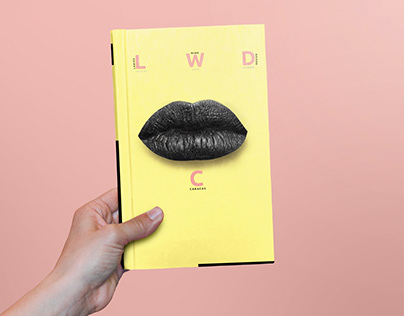 Brochure for LWD