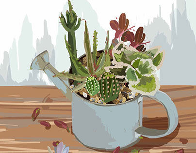 succulents the world