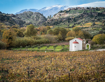 Venerato Crete, vineyard valley