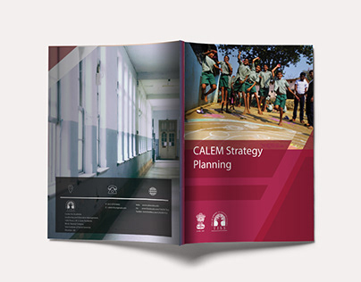 CALEM Strategy Paper I Report Design
