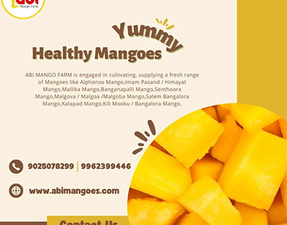 Buy Premium 100% Organic Mangoes in India