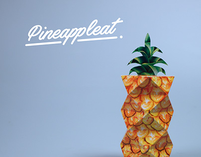 Pineappleat - Juice Packaging