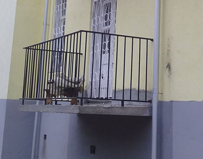 Капитальный ремонт балконных плит
