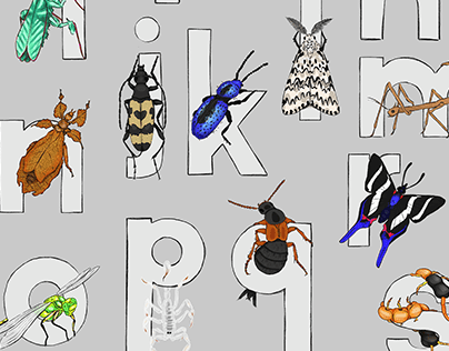 Entomology abecedary