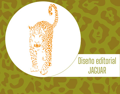 Infografía Jaguar - Diseño editorial