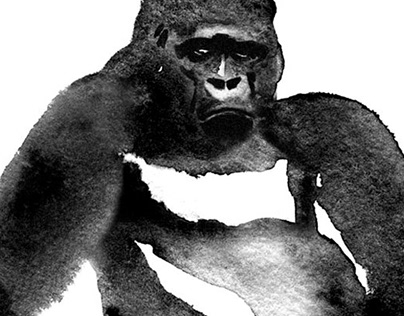 Gorillas illustration