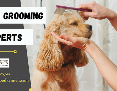 Reach Our Dog Grooming Experts