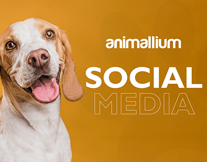 Animallium | Social media