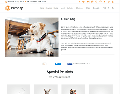 Gallery Single Post - Petshop WordPress Theme