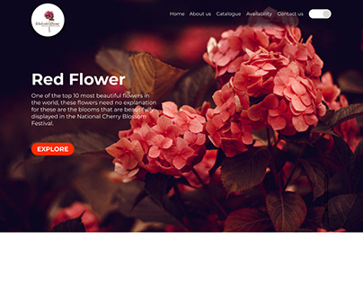Wholesale Blooms website - Wireframe