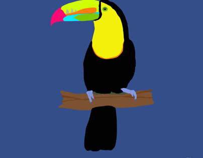 Toucan Happy