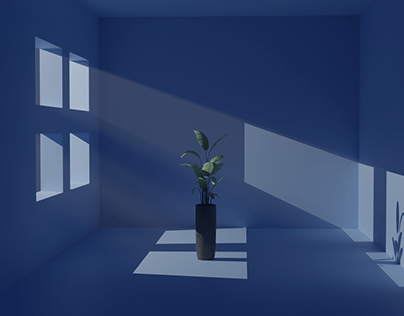Plant in Empty Room