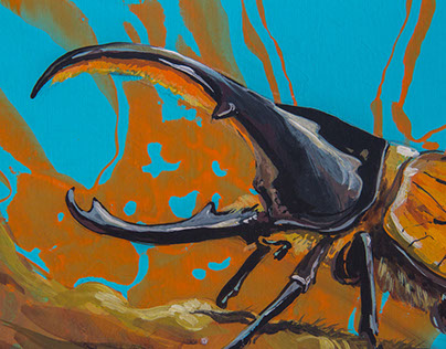 Escarabajo (de la colección Animal Color)