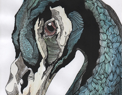 Peacock drawing 🦚 - watercolor and Nankin