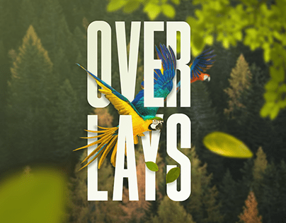 What do you know about 'OVERLAYS' ?