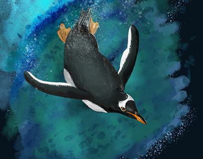 Gentoo Penguin Diving