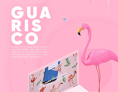 Guarisco Website