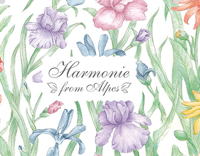 Shampoo and conditioner "Harmonie"