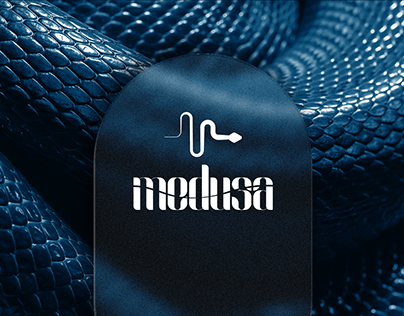 Agência Medusa | Branding