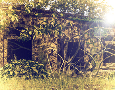 3D landscape - abandoned wreck house