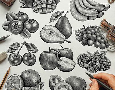 Engraving Fruit Illustration Collection