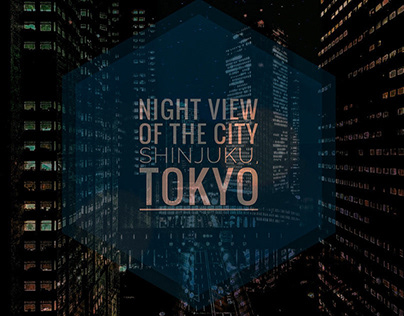 Night view of the city Shinjuku, Tokyo