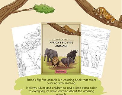 Africa's Big Five Animals | Coloring Book