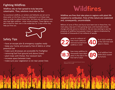 ARTG1250 Project 3: Editorial Design (Wildfires)