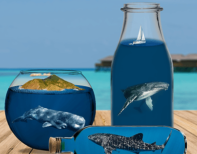 Whales in a Bottle