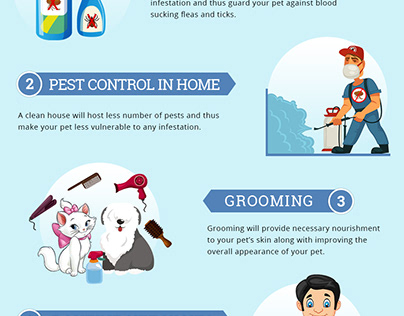 The Best Skin Care Tips For Pets