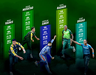 Cricket Infographic Poster