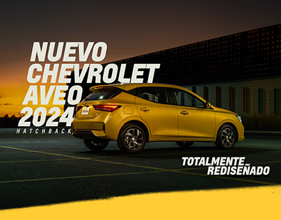 Project thumbnail - Chevrolet Aveo 2024