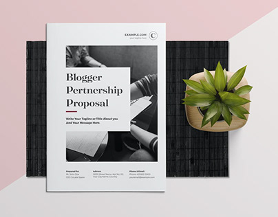 Blogger Proposal Template