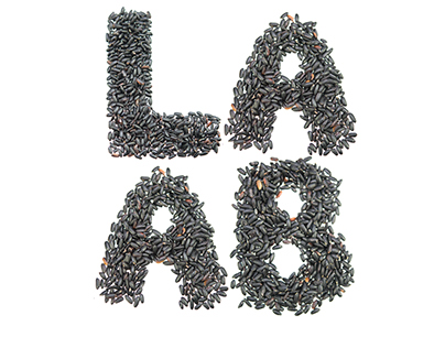 LAAB - Laboratoire Associatif d'Art et de Botanique
