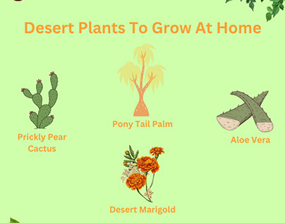 Desert Plants To Grow At Home