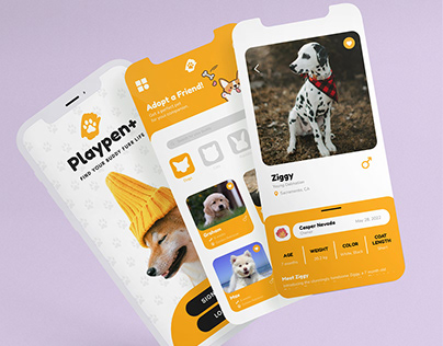 Playpen+ Mobile App Design