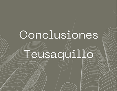 Conclusiones Teusaquillo