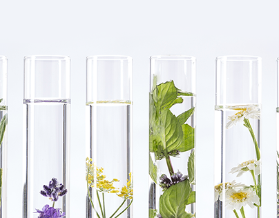 Herbal Formula. Selected natural & organic cosmetics.