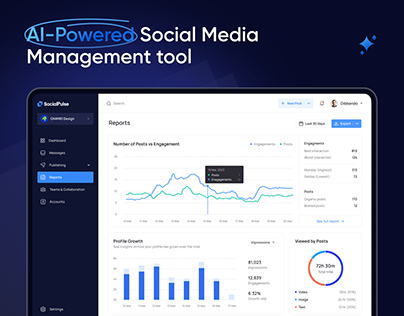 SocialPulse - Social Media Management Software