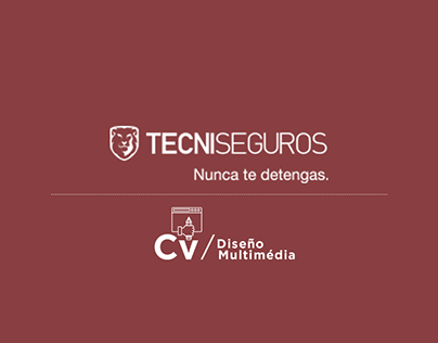Diseño Multimedia - TECNISEGURO