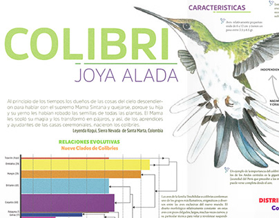Colibri - Infografía - Visualización de Datos