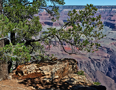 South Rim. Grand Canyon National Park. USA
