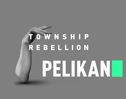 Township Rebellion - Pelikan (Official Music Video)
