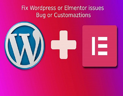 Fix any WordPress, woocommerce, and elementor issues