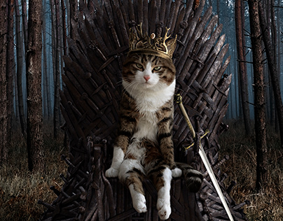 The King who deserves the Iron Throne !