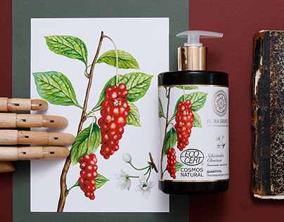 Botanical illustration for packaging "Natura Siberica"