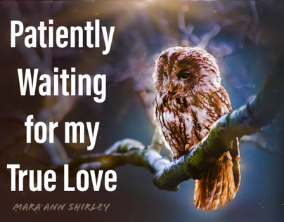 Waiting for True Love