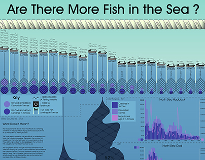 Are There More Fish in the Sea Infographic