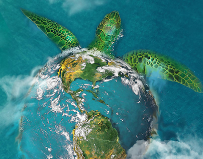 Earth Turtle