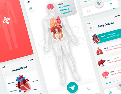 Body Organs App